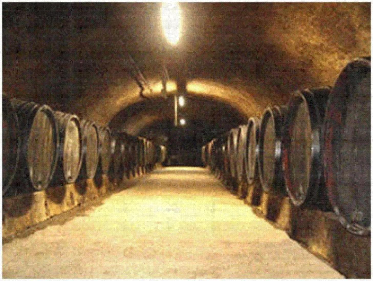 Ferienweingut Peter-Jos. Hauth Bernkastel-Kues Exterior photo
